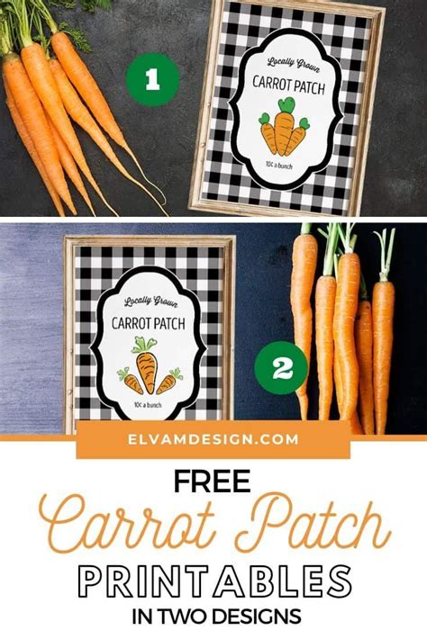 Carrot Patch Printable